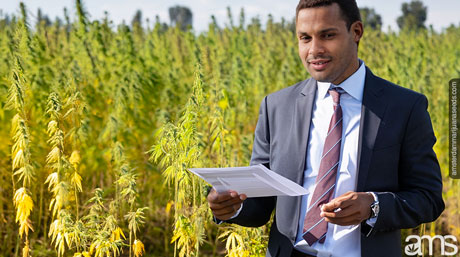 cultivation regulations government explains regulation