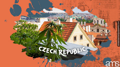 cannabis Czech Republic