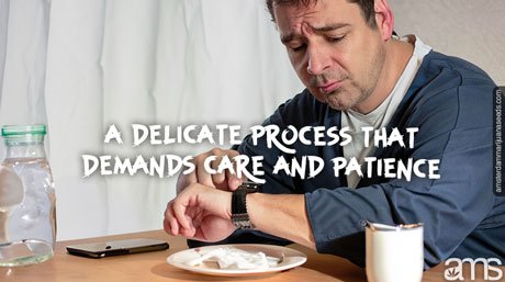 bored man looks at the plant that does not germinate