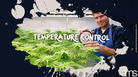 temperature check in growroom