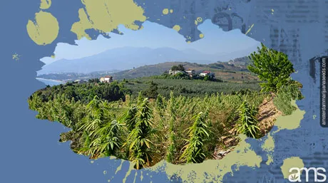 Cannabis in Israel Decriminalization of Cannabis in Israel