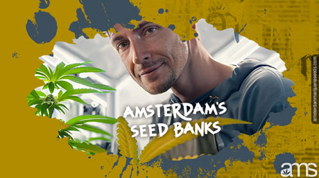 Amsterdam Seed Bank
