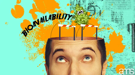 bio availability marijuana jumping obstacles