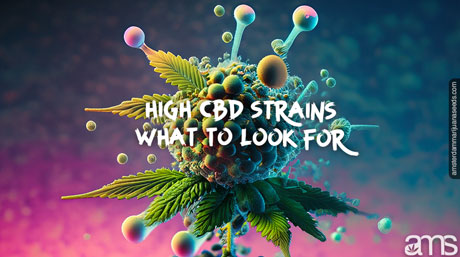 a marijuana flower releases molecules