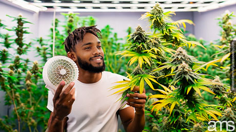 fan in a grow room