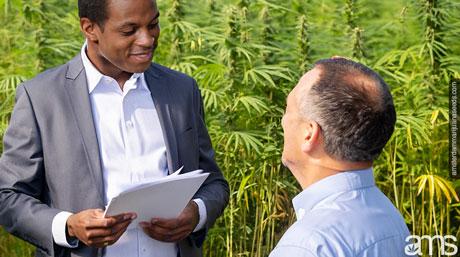 land-use for cannabis cultivation government explains land-use