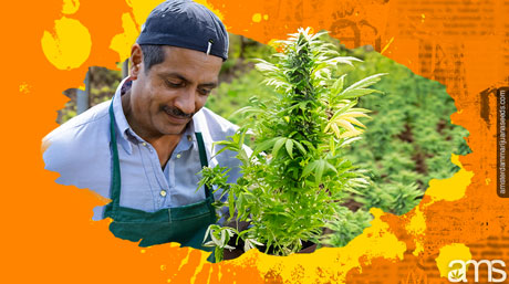 grower masters the art of crop rotation