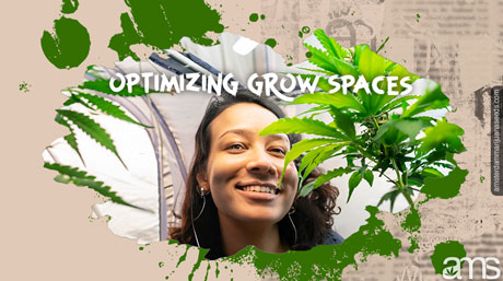 grow spaces indoor gardening