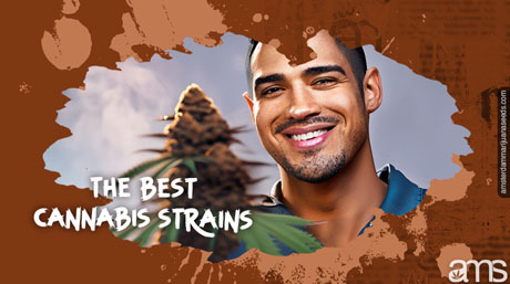 best cannabis strains