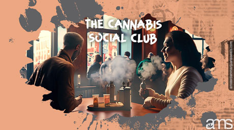the cannabis social club cannabis social club espana