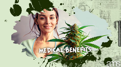 MOAB weed therapeutic potential medical benefits