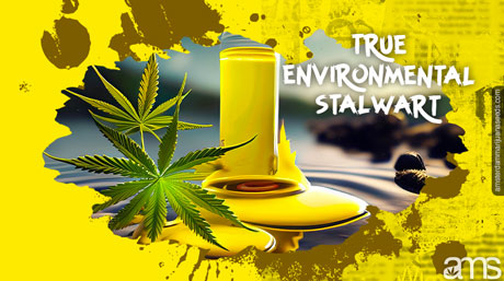 hemp as an eco-compatible resource