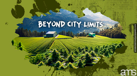 beyond the city limits marijuana cultivation in the alps