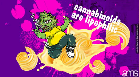 lipostatic cannabinoids lipophilic cannabinoids