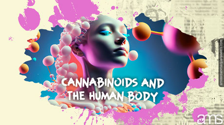 cannabinoids and the human body Woman pervaded by marijuana molecules
