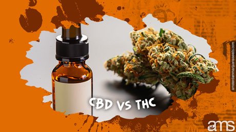 CBD vs THC