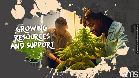 growing resources and support growers amsterdam seed bank