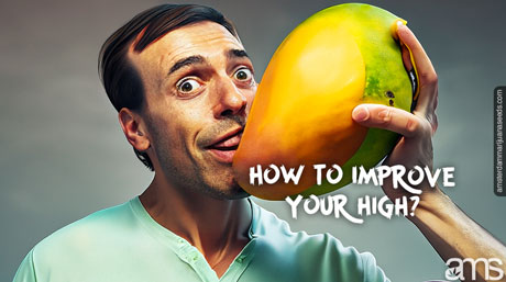 boosting high with mangoes