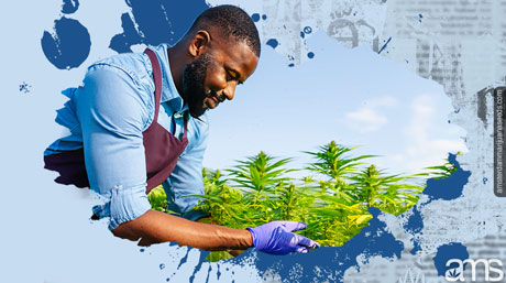 tips for successfully growing marijuana in clay soil grower successfully growing weed