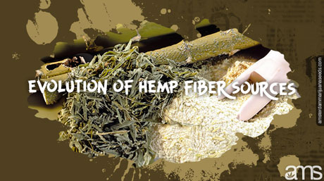 hemp fiber hemp fibers