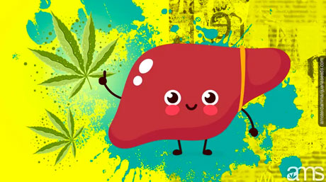 happy little seed cartoon image of a smiley liver marijuana