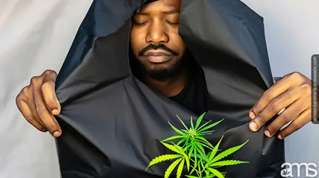 Microscopic view of secondary root development in oxygen-rich fabric containers.