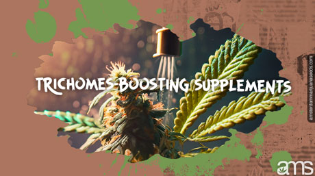 trichomes-boosting supplements trichomes boost supplements plant