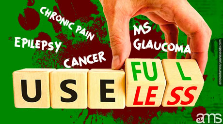 usefulness medical cannabis cbd cannabidiol