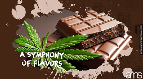 symphony of flavors cannabis infused Swiss chocolate