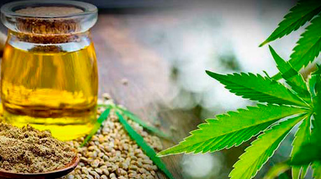 cannahoney Check our blog about CannaHoney!