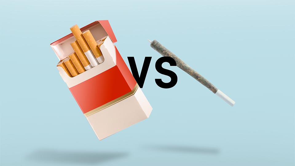 The Debate Between Tobacco and Cannabis The debate between Tobacco and Cannabis: Exploring myths and realities