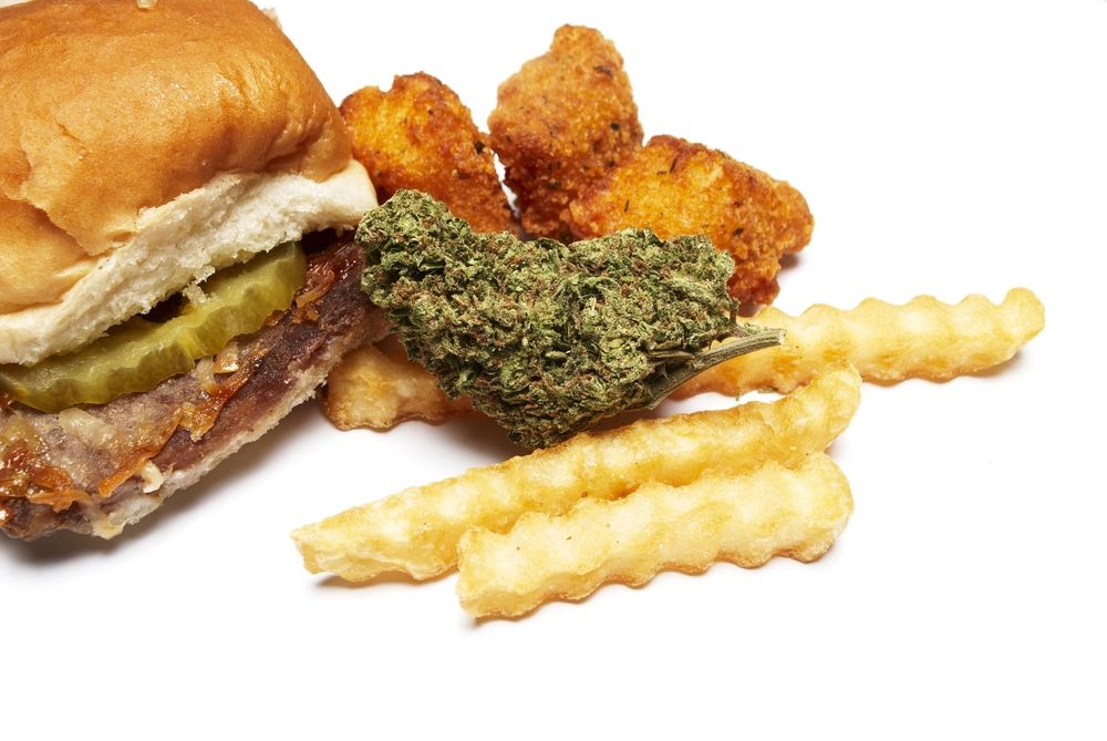 marijuana munchies marijuana causes the munchies