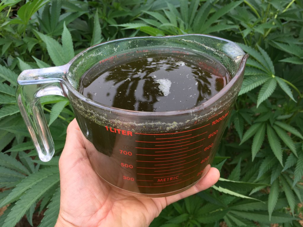 cannabis oil compost tea compost tea cannabis oil