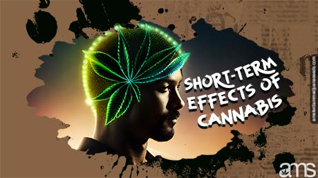 short term effects of cannabis long term effects of marijuana