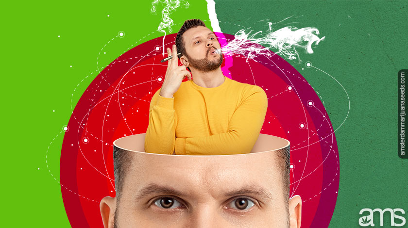 Does weed help you focus, and how does it work? does weed help you focus