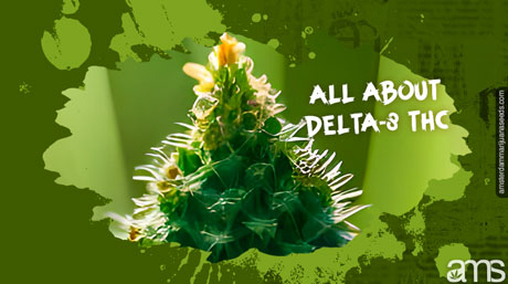 All About Delta-8 THC: Is It Worth The Hype? Marijuana Bud