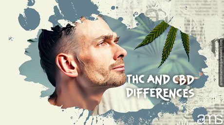 Understanding CBD and THC Differences Man with doubtful face observing a floating marijuana leaf