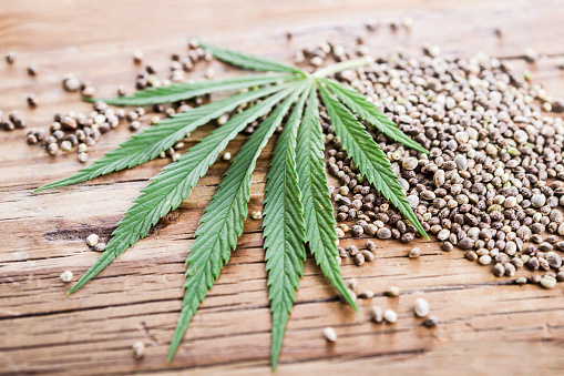 Feminized or Autoflower? Find the Perfect Cannabis Seeds for Your Grow cannabis seeds