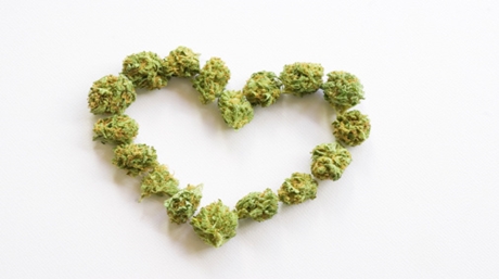 Boost Your Marijuana Yield: Tips on Fertilizers for Bountiful Harvests boost marijuana yield fertilizers