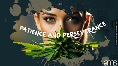 breed best weed seed