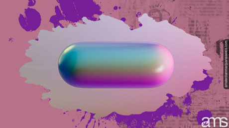 Canna caps Cannabis Infused Capsules