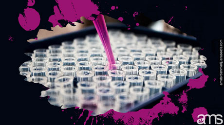 filling cannabis capsules filling cannabis infused caps