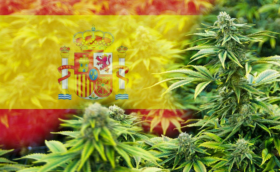 medical marijuana spain