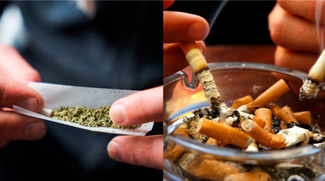 Cannabis Tobacco Cannabis and Tobacco health, Myths and Realities