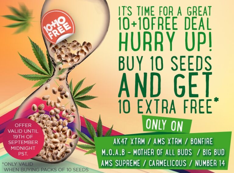 weekend promotion
