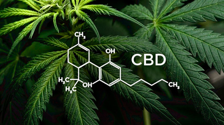 CBD DNA CBD dna