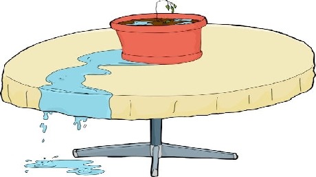 overwaterd plant on table 1558695343