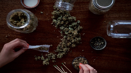 The difference between blunts and joints blunt vs joint
