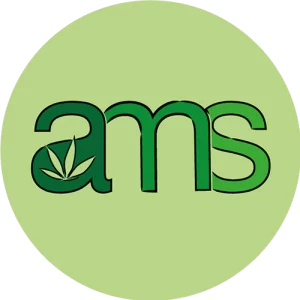 AMS Editorial Team