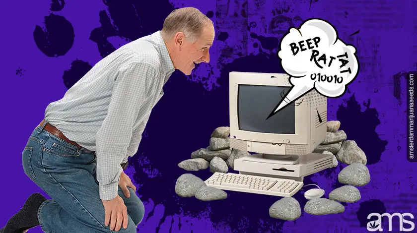 About us Imagen de Marihuana AMS6